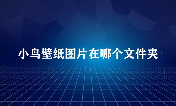 小鸟壁纸图片在哪个文件夹