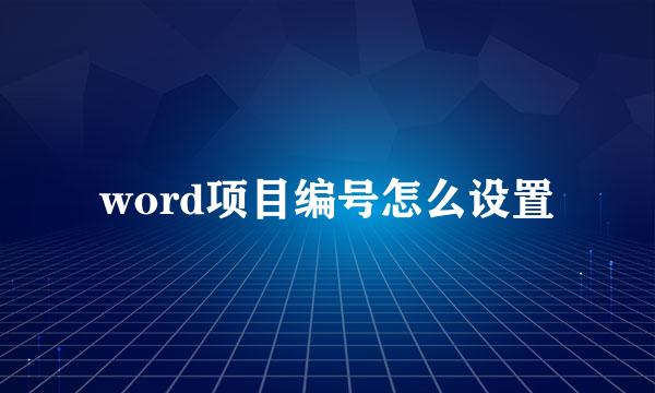 word项目编号怎么设置