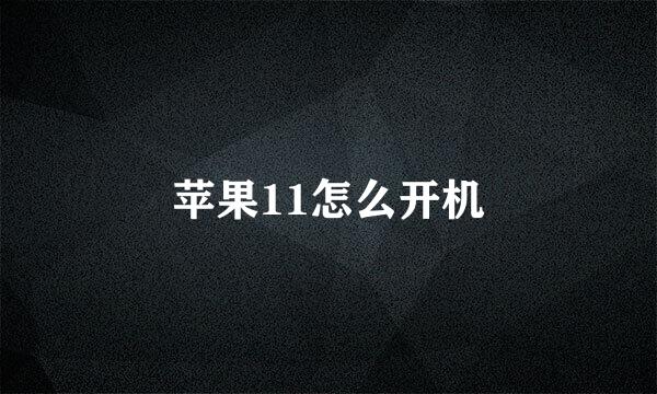 苹果11怎么开机