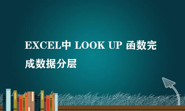 EXCEL中 LOOK UP 函数完成数据分层