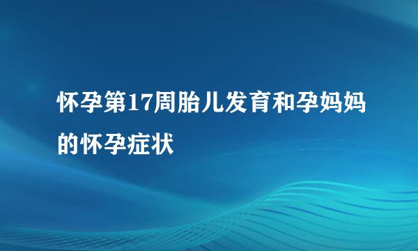 怀孕第17周胎儿发育和孕妈妈的怀孕症状