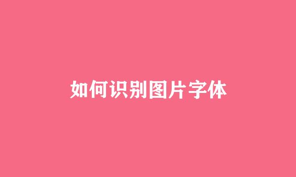 如何识别图片字体