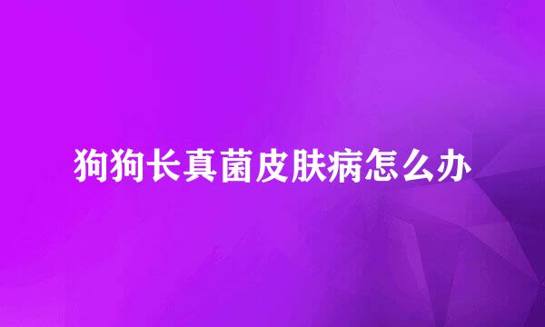 狗狗长真菌皮肤病怎么办