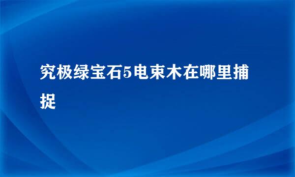 究极绿宝石5电束木在哪里捕捉