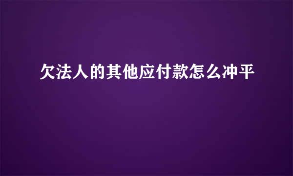 欠法人的其他应付款怎么冲平