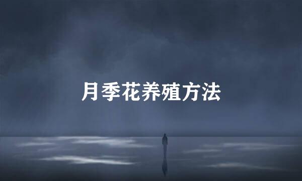 月季花养殖方法