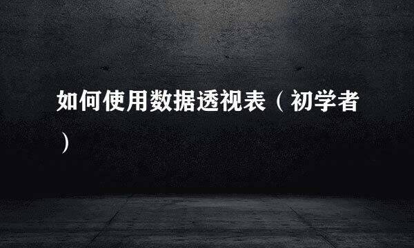 如何使用数据透视表（初学者）