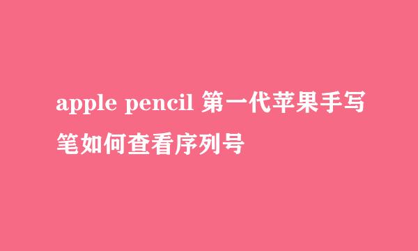 apple pencil 第一代苹果手写笔如何查看序列号