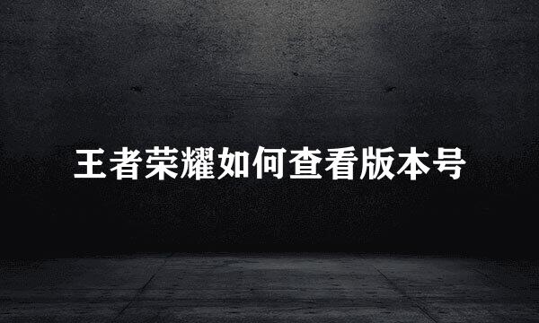 王者荣耀如何查看版本号