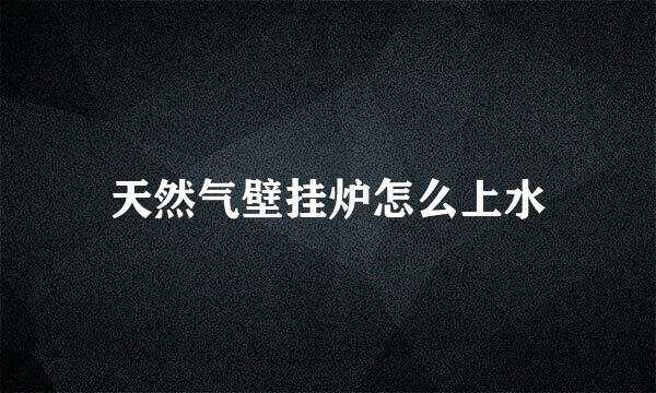 天然气壁挂炉怎么上水