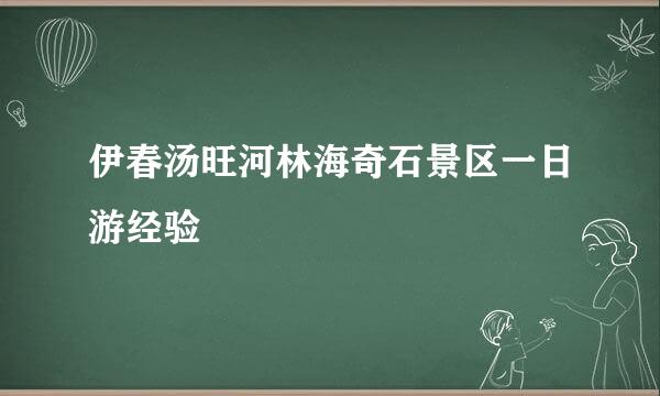 伊春汤旺河林海奇石景区一日游经验