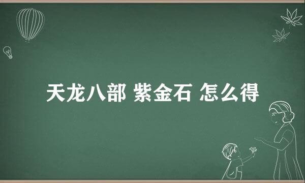 天龙八部 紫金石 怎么得