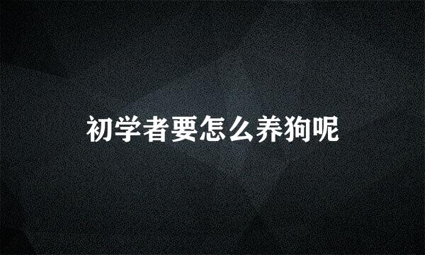 初学者要怎么养狗呢