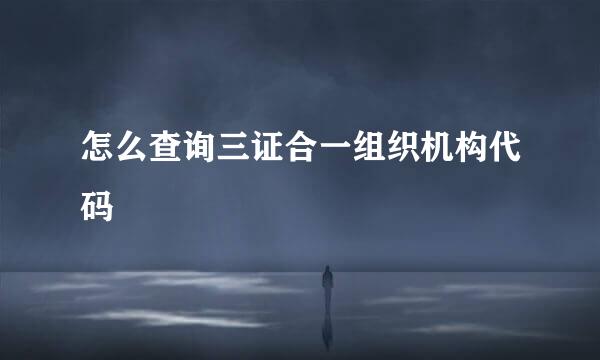 怎么查询三证合一组织机构代码