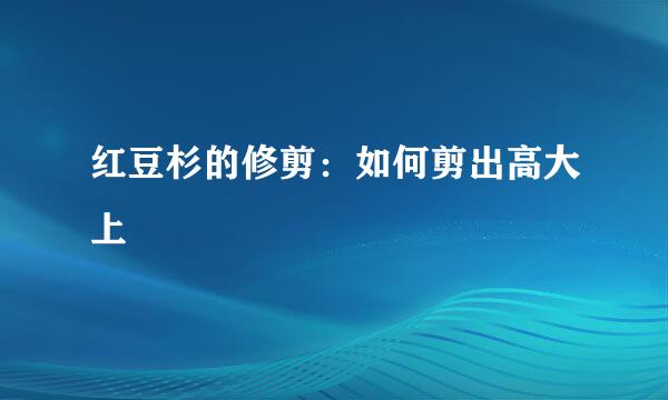 红豆杉的修剪：如何剪出高大上