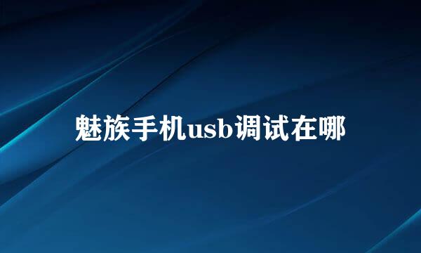 魅族手机usb调试在哪