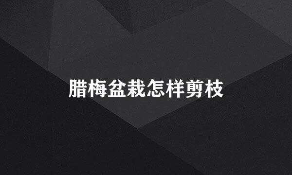 腊梅盆栽怎样剪枝
