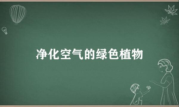 净化空气的绿色植物