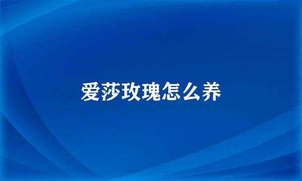 爱莎玫瑰怎么养