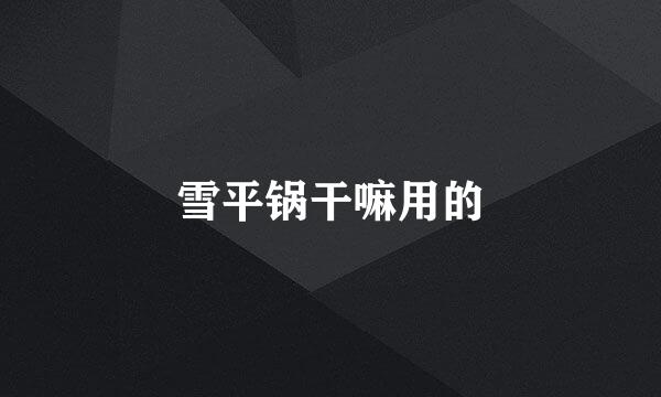 雪平锅干嘛用的