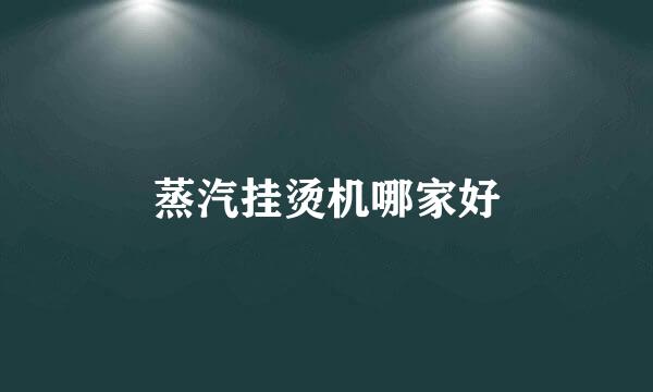 蒸汽挂烫机哪家好