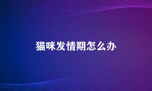 猫咪发情期怎么办