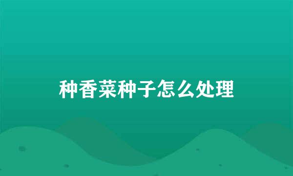 种香菜种子怎么处理