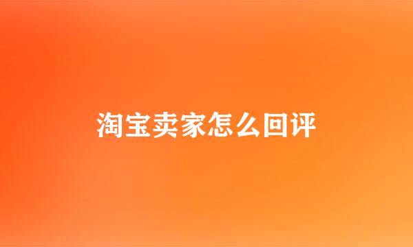 淘宝卖家怎么回评