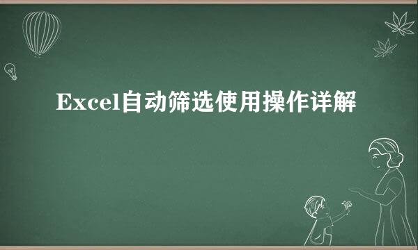 Excel自动筛选使用操作详解