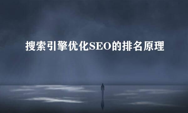 搜索引擎优化SEO的排名原理