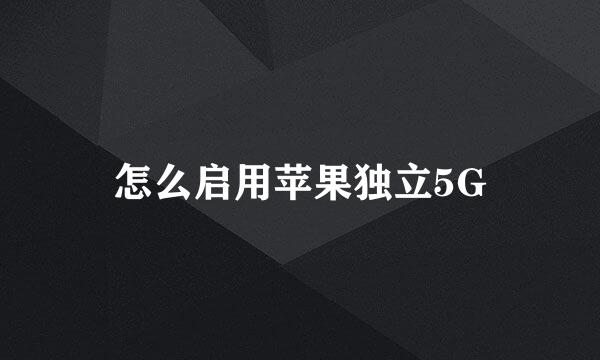怎么启用苹果独立5G