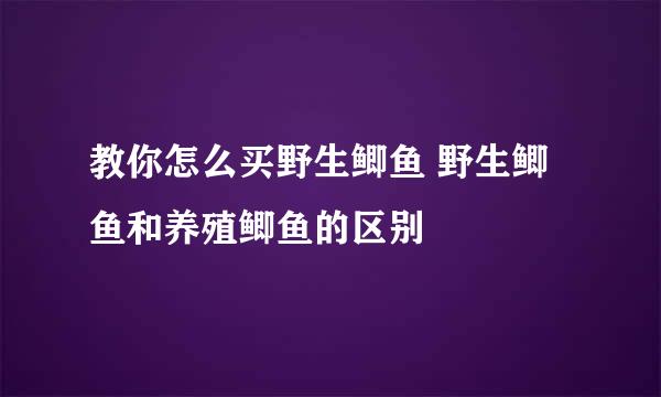 教你怎么买野生鲫鱼 野生鲫鱼和养殖鲫鱼的区别