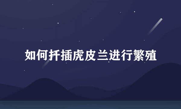 如何扦插虎皮兰进行繁殖