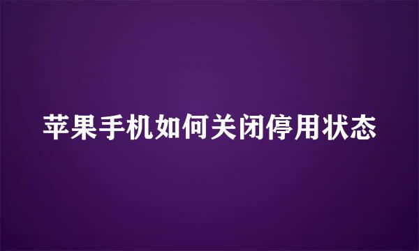 苹果手机如何关闭停用状态