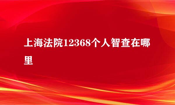 上海法院12368个人智查在哪里