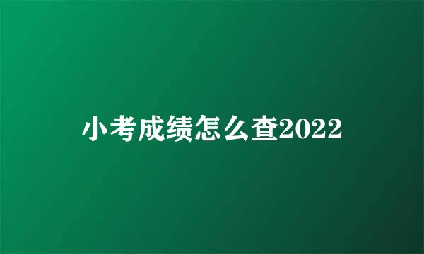 小考成绩怎么查2022