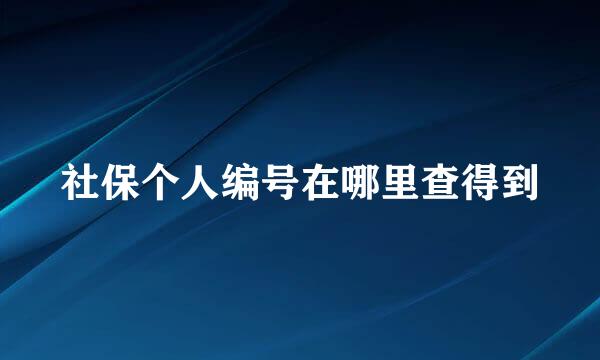 社保个人编号在哪里查得到