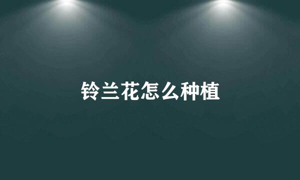 铃兰花怎么种植