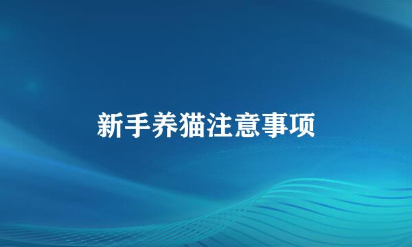 新手养猫注意事项
