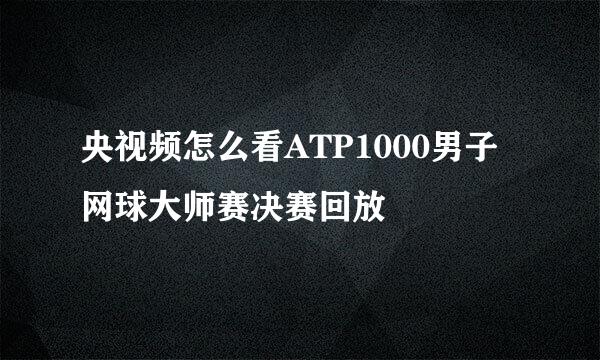 央视频怎么看ATP1000男子网球大师赛决赛回放