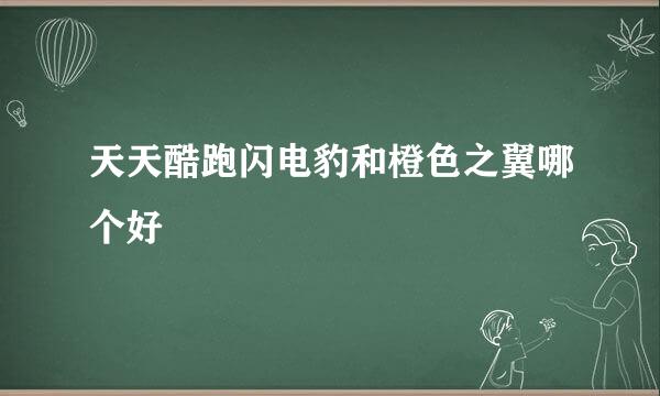 天天酷跑闪电豹和橙色之翼哪个好
