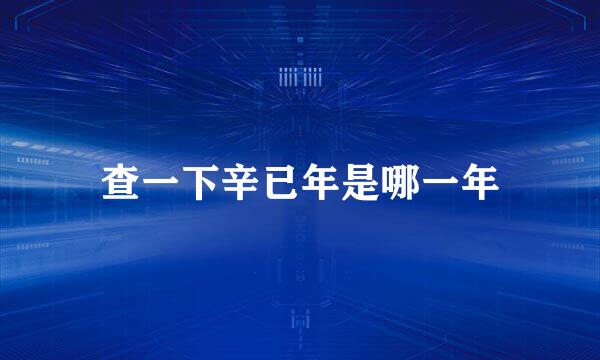 查一下辛已年是哪一年