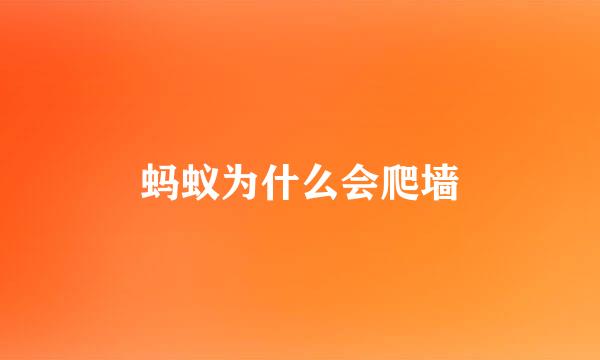 蚂蚁为什么会爬墙