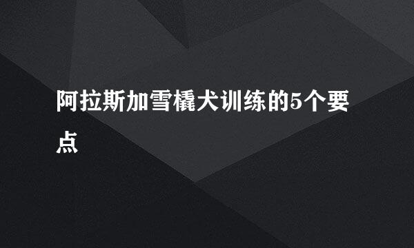 阿拉斯加雪橇犬训练的5个要点