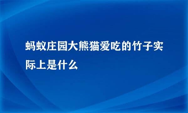 蚂蚁庄园大熊猫爱吃的竹子实际上是什么