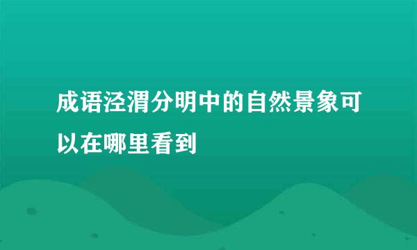 成语泾渭分明中的自然景象可以在哪里看到