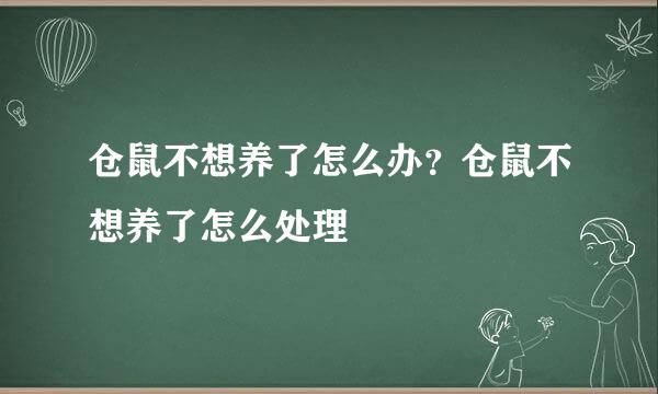 仓鼠不想养了怎么办？仓鼠不想养了怎么处理