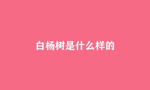 白杨树是什么样的