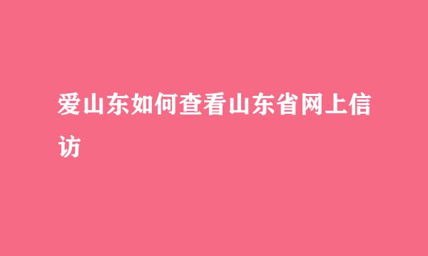 爱山东如何查看山东省网上信访