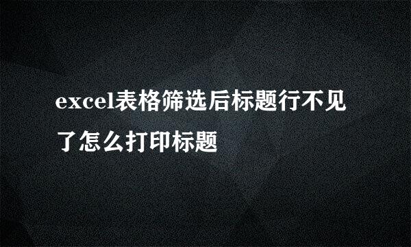 excel表格筛选后标题行不见了怎么打印标题